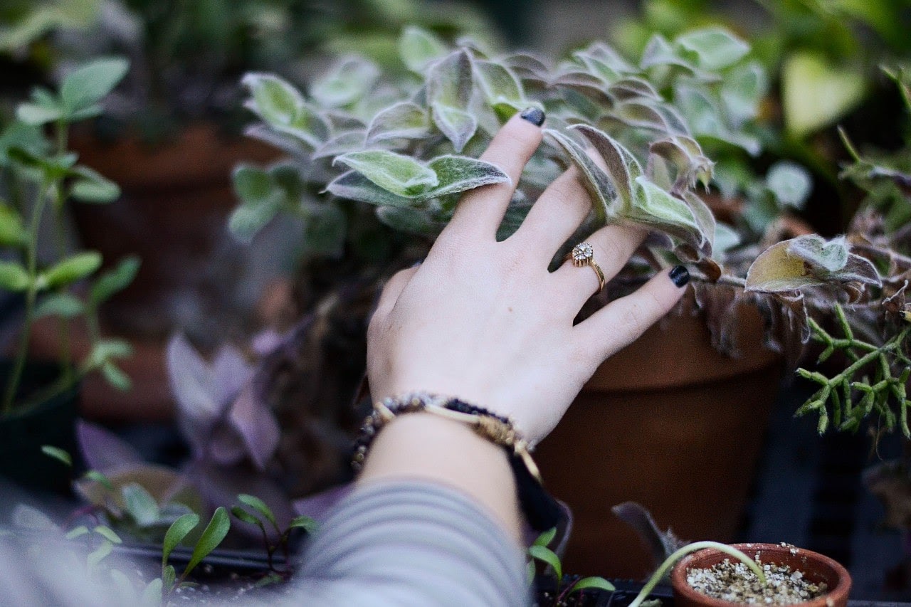 engagement ring on hand, holding plant